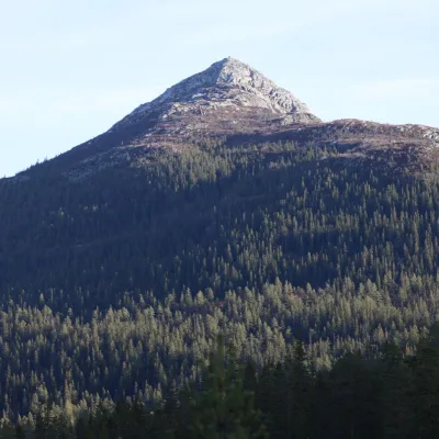 Himingen