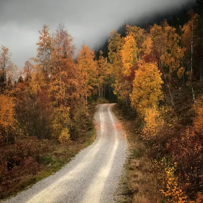 Kivledalen rundt