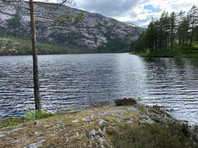 Pålbuvatn