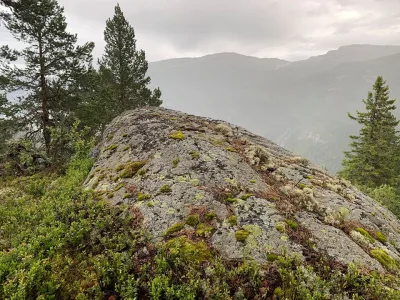 Geitåsnuten