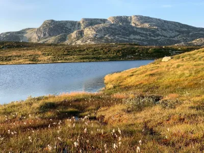 Lifjell 19-L4/5