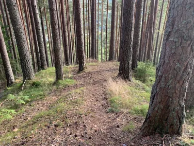 Bråtenklyvet