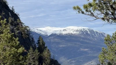 Skogsoddtoppen og skogsoddane baketter