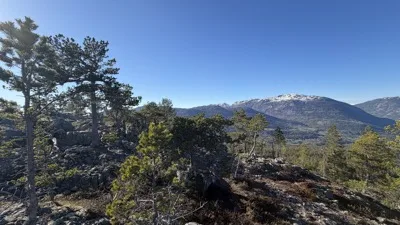 Årnoteren