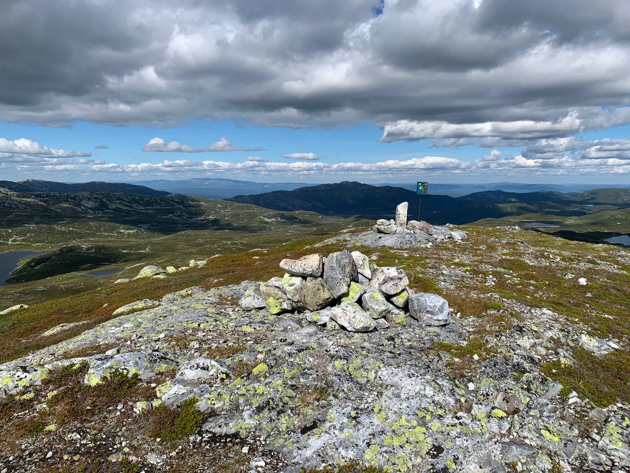 Blomtjønneggin