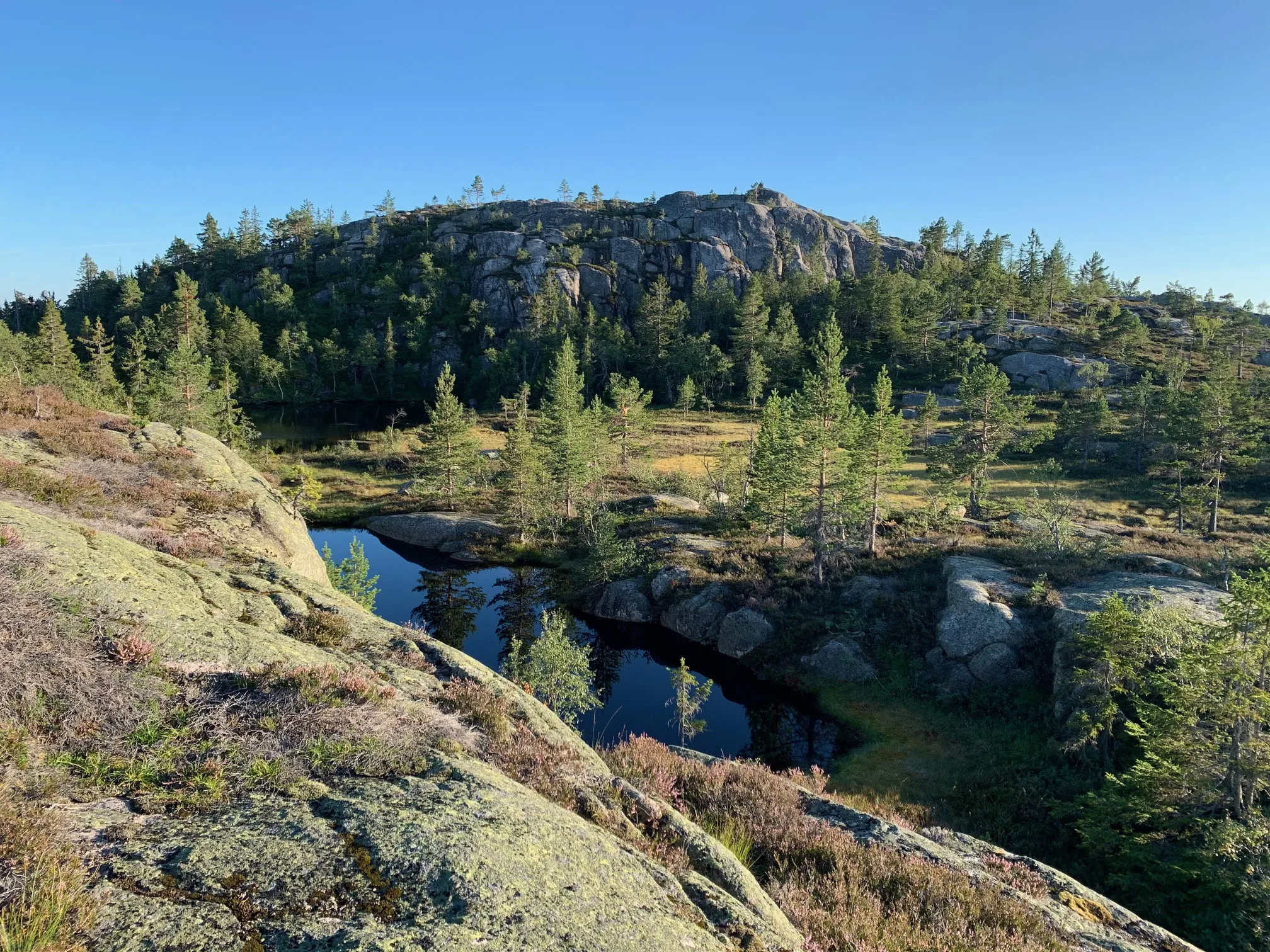 Grånåfjell