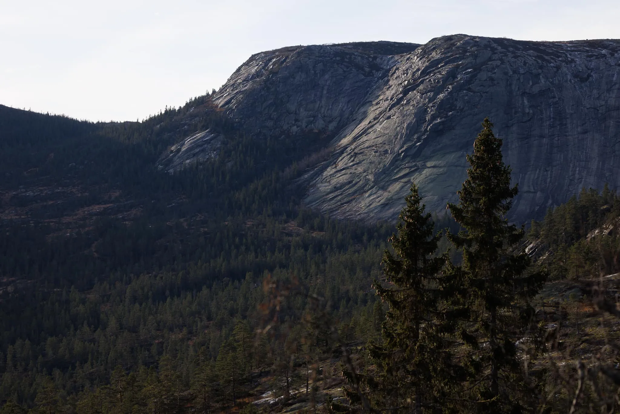 Hægefjell