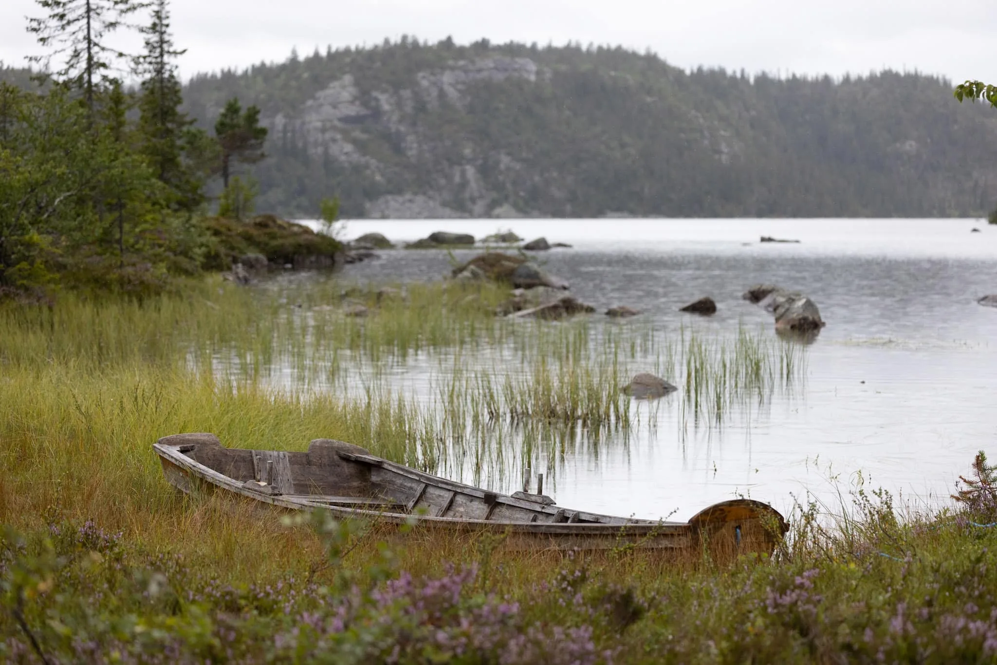 Ståldalsvatnet