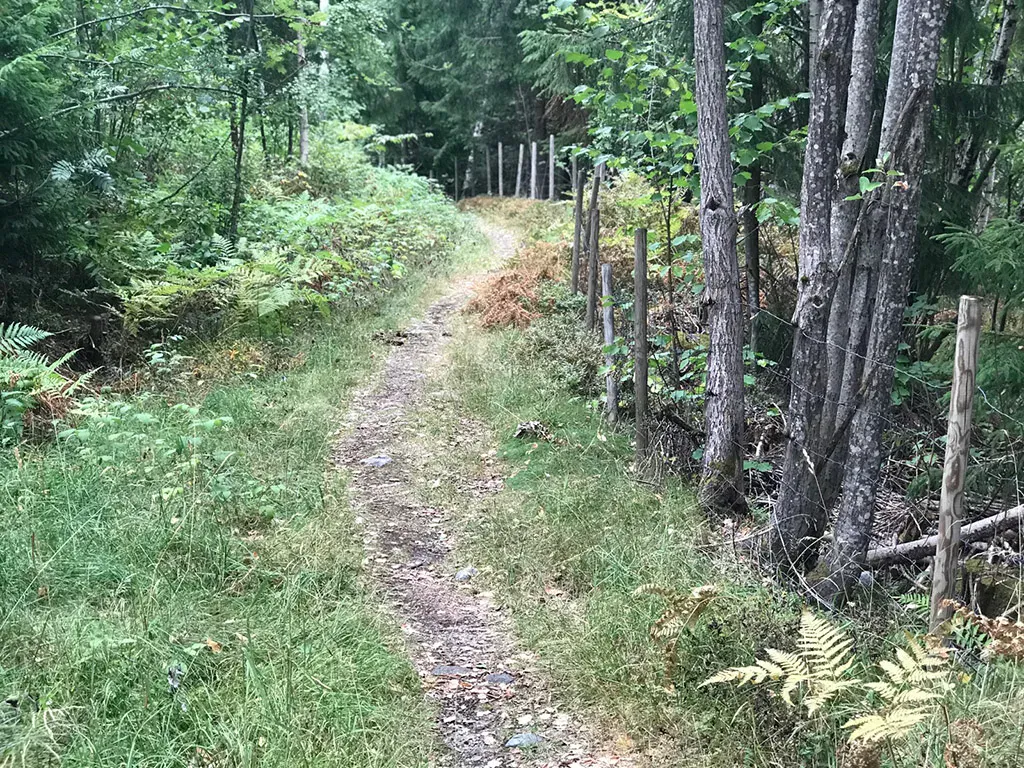 Varden