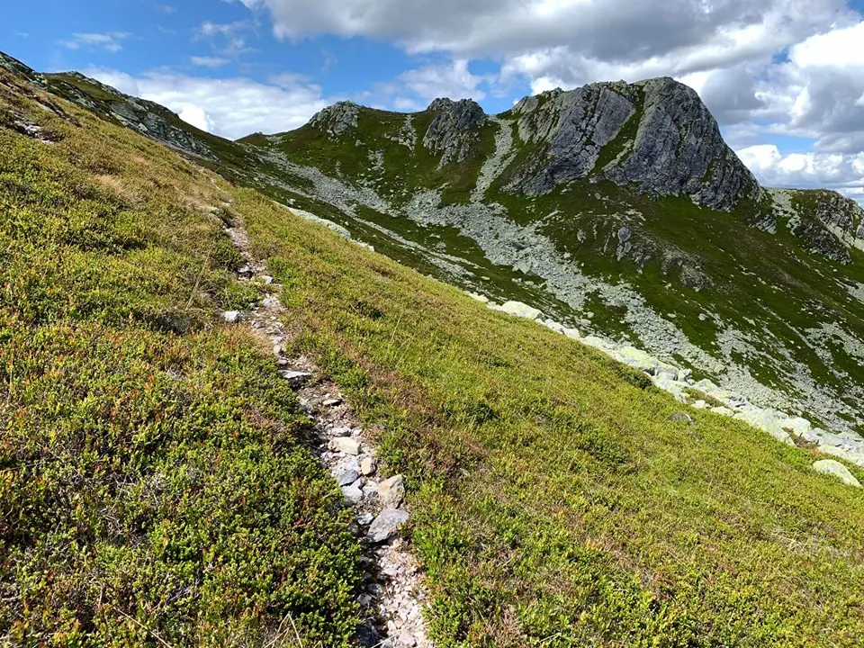 Hestenutane
