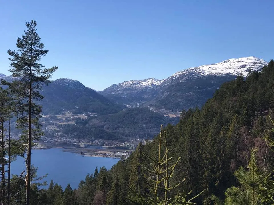 Utsikt mot seljord