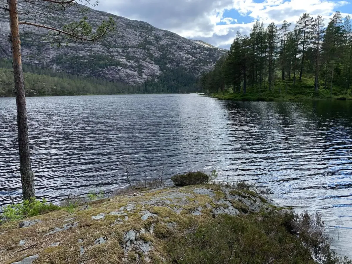 Pålbuvatn (445 Meter über dem Meeresspiegel)