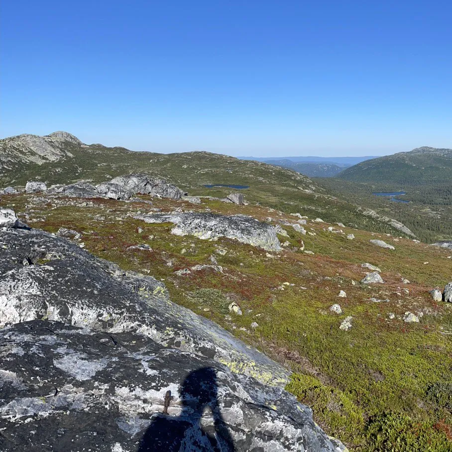 Das Hochplateau Lifjell - vom Sigurdsbunuten im Hjartdal aus gesehen