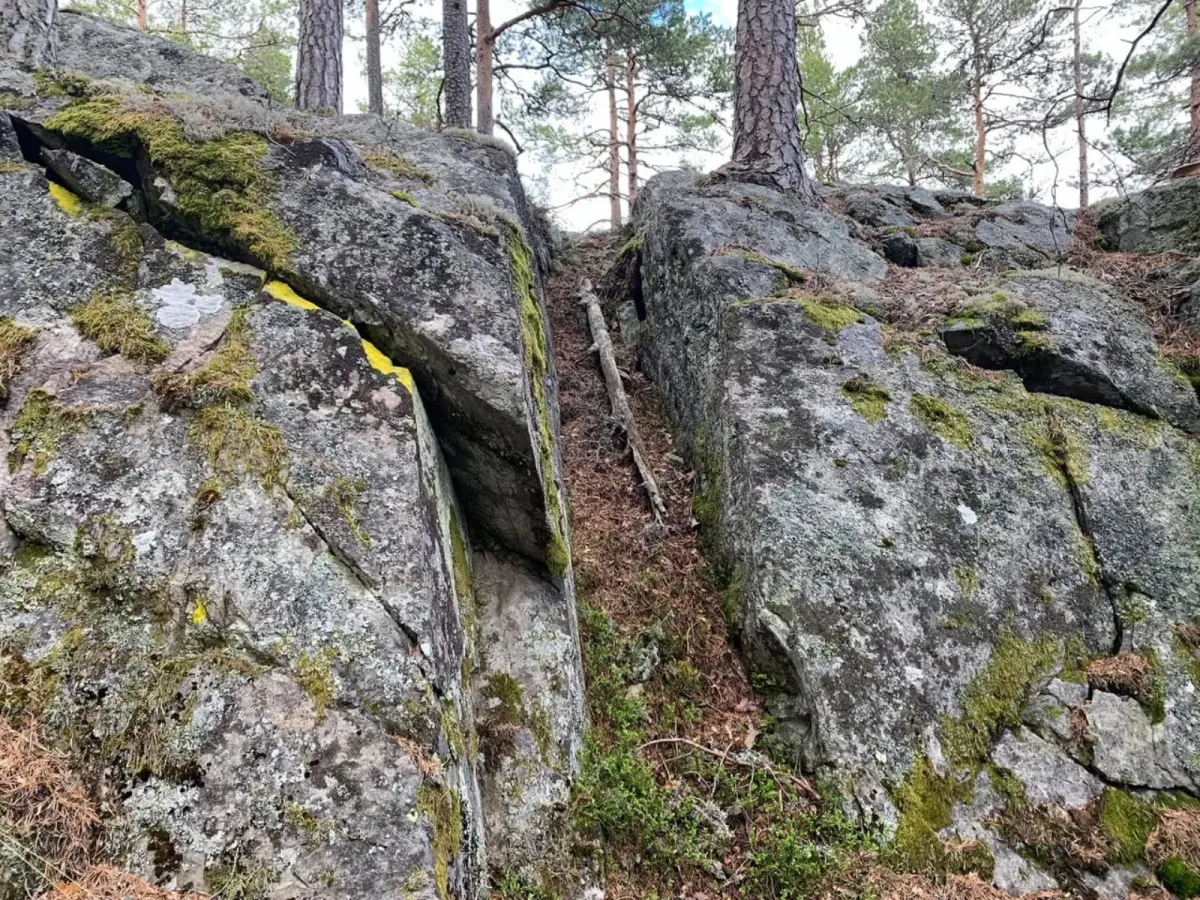 Hagabrekkåsen (319 moh)