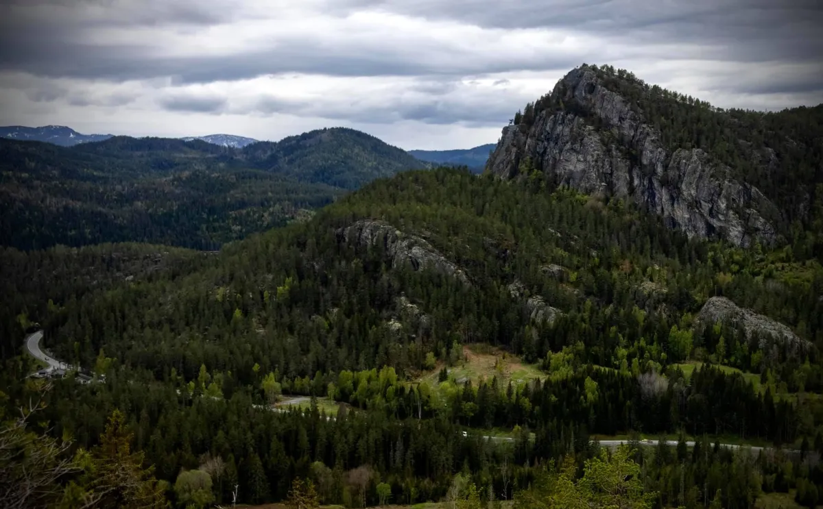 Nicht ganz unähnlich dem Flåklypatoppen. Skogsoddtoppen ist unverwechselbar und macht Spaß. Weniger als 1 km oberhalb von Vigdesjå und Kyrdalen.