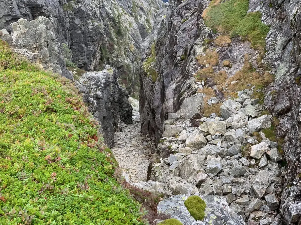 Spådomsnuten, Skorve