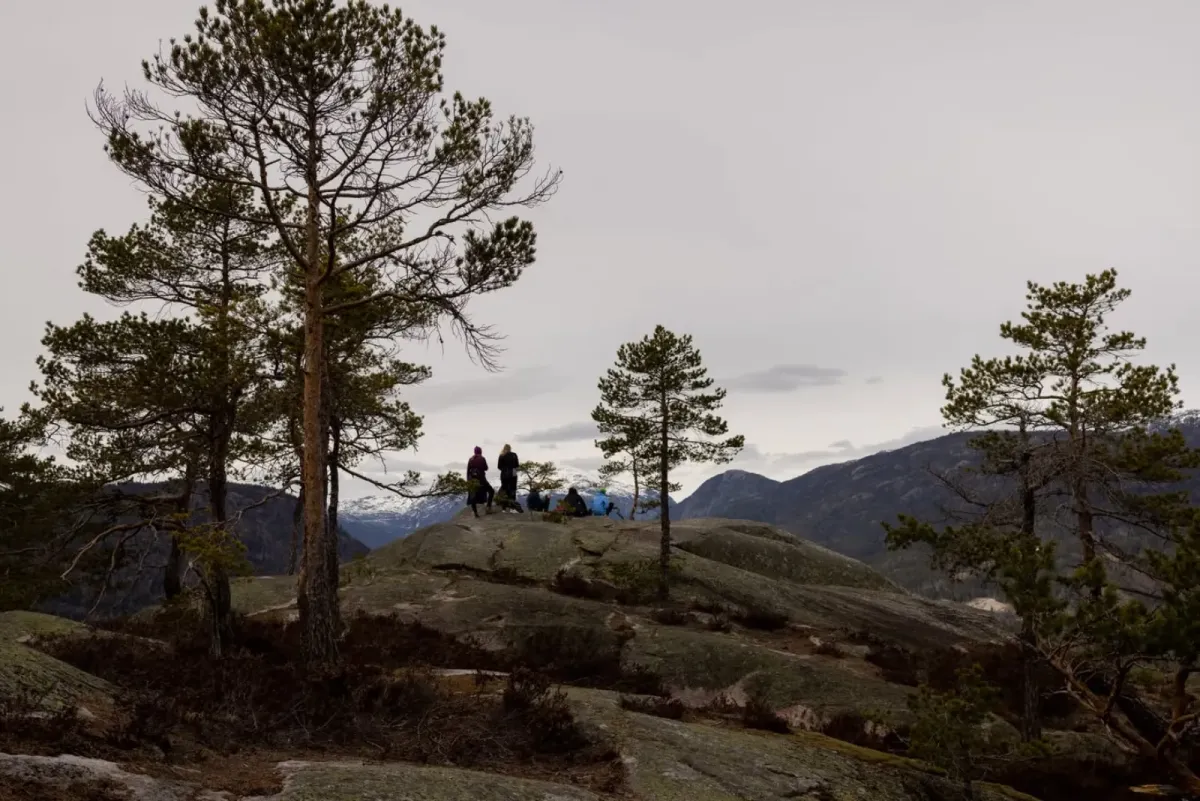 Forest walk to the perfect view