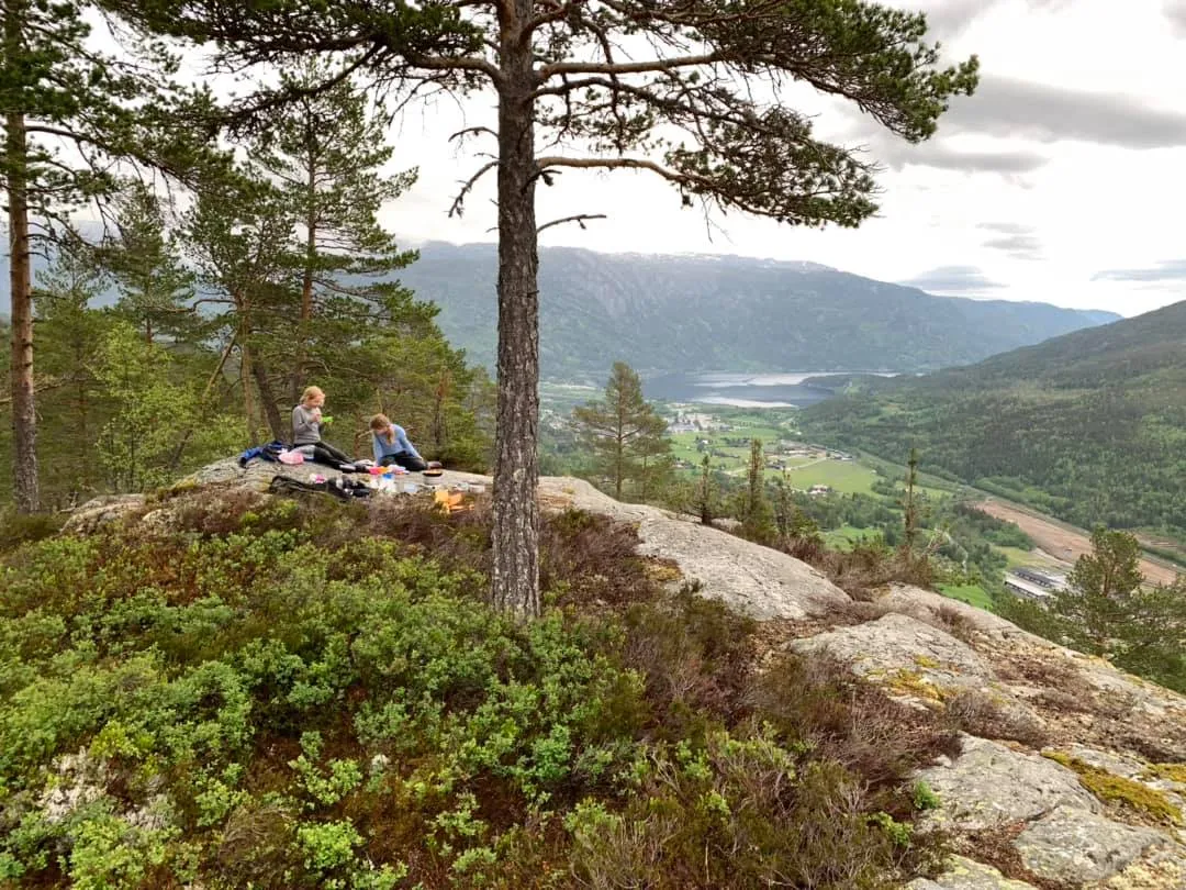 Utsikten
