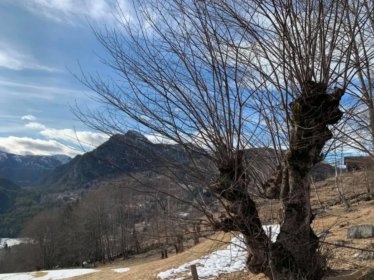 Flatdal is a great place to go hiking
