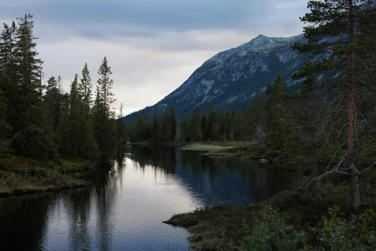 Slåkja - notre propre Alaska