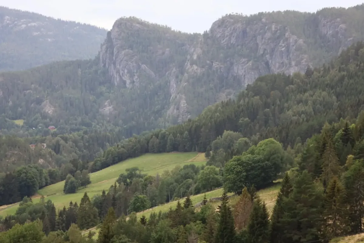 A short forest walk between Raudbergnuten and Kyrkjeberget