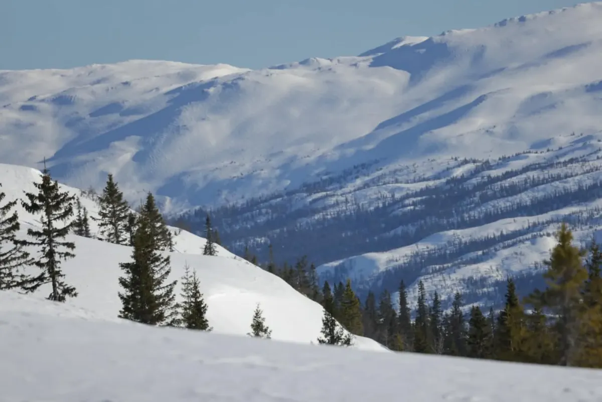 Winter in Brattefjell