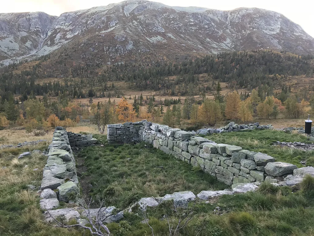 Londalen - staulen