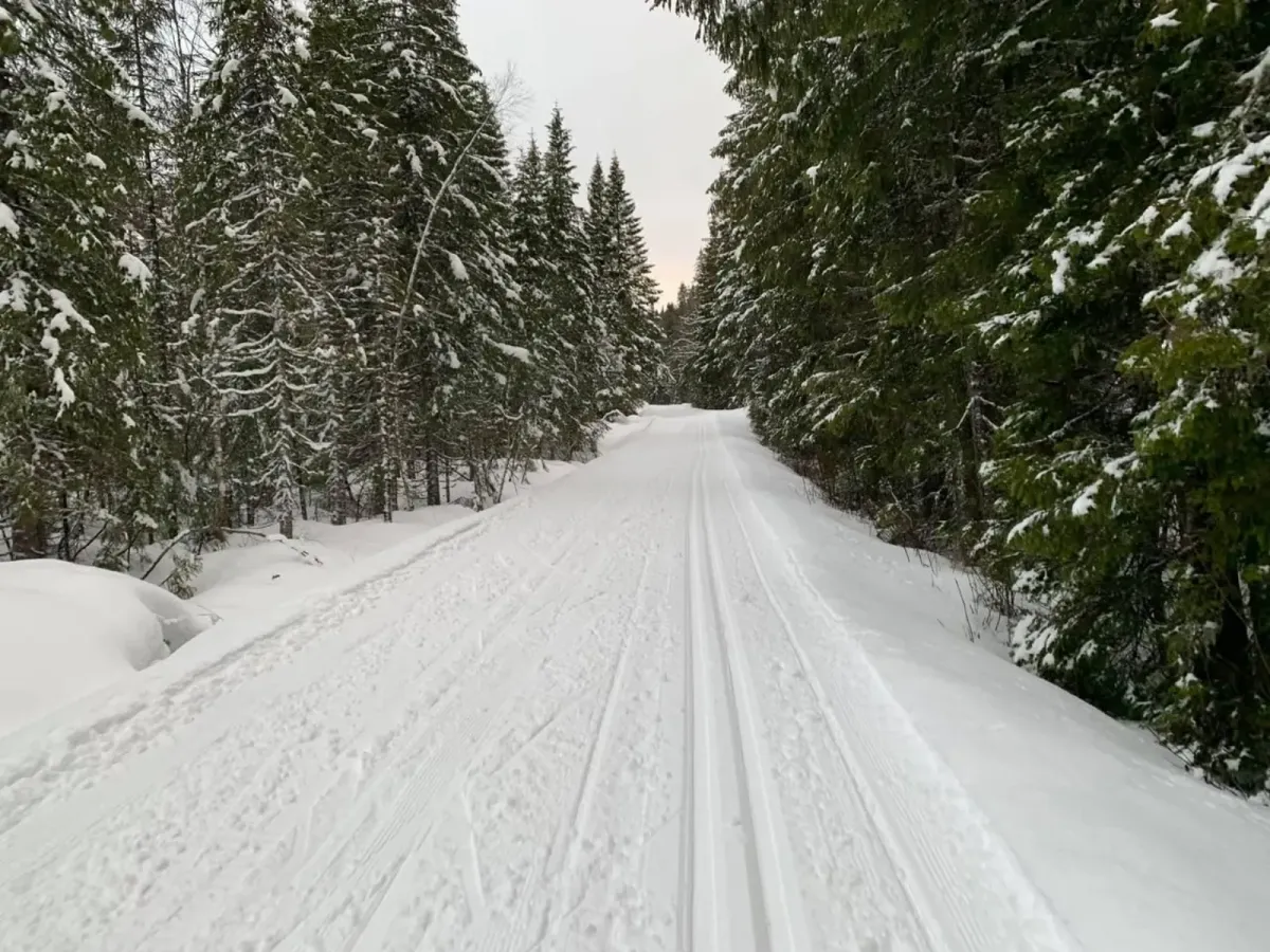 Kivledalen