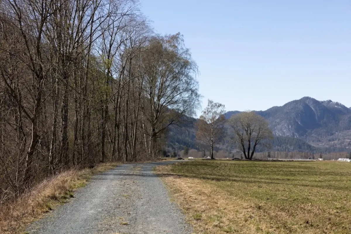 Nærtur i Flatdal