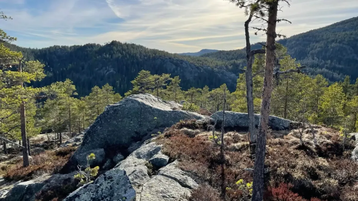 Promenade en forêt sur un terrain escarpé dans le Nordbygdi à Seljord