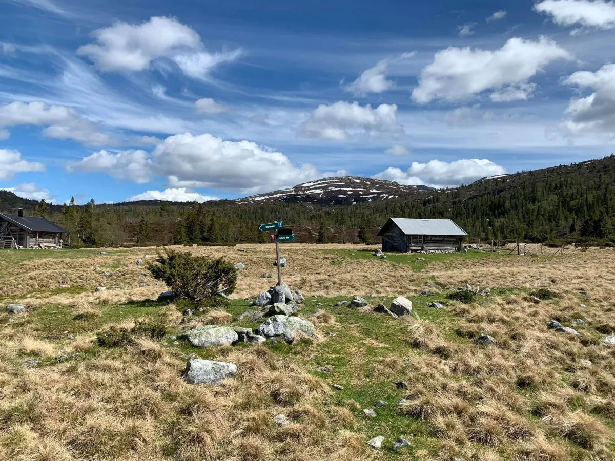 Urdevatnar staulen