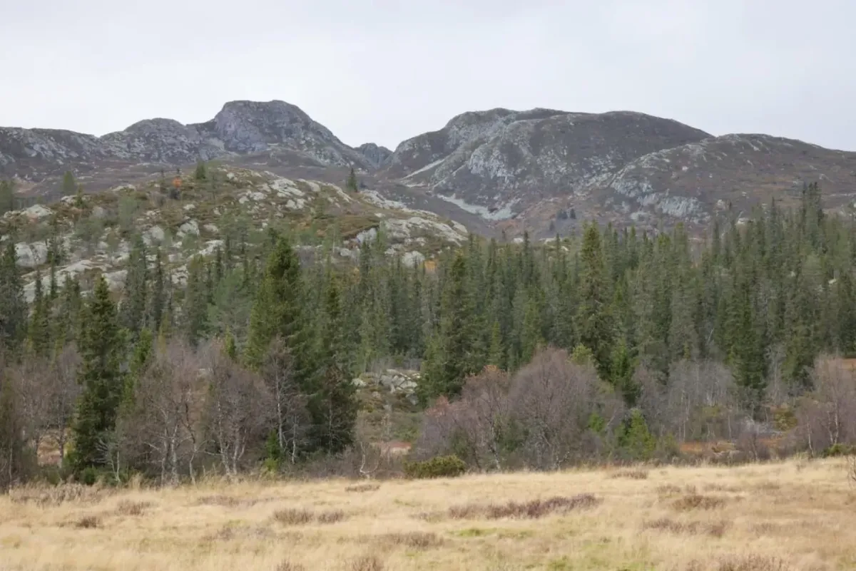Fyljomsnuten (1169 metres above sea level)