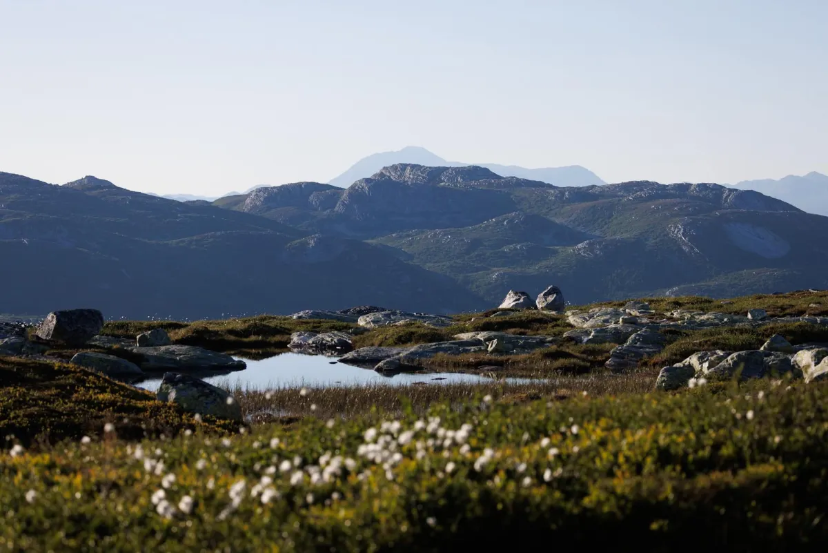Vakkert på Lifjell