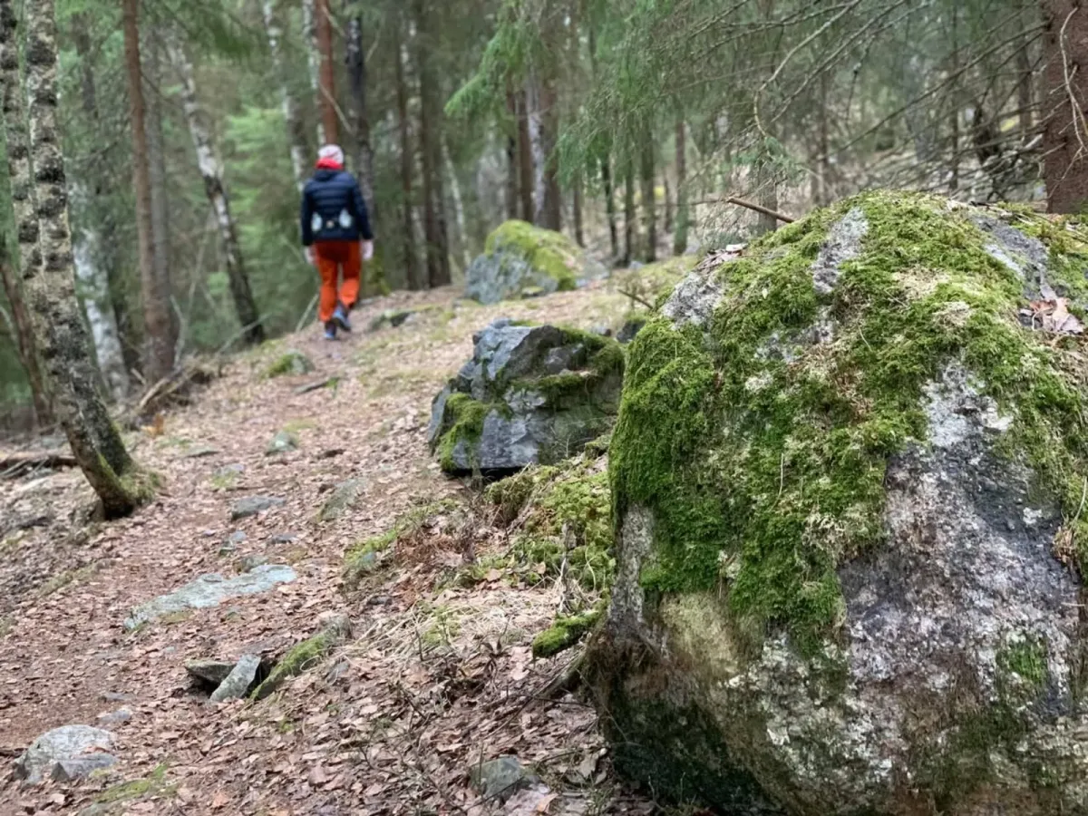 On Nordabergstien, up between Gravshaugane and Runningenfeltet