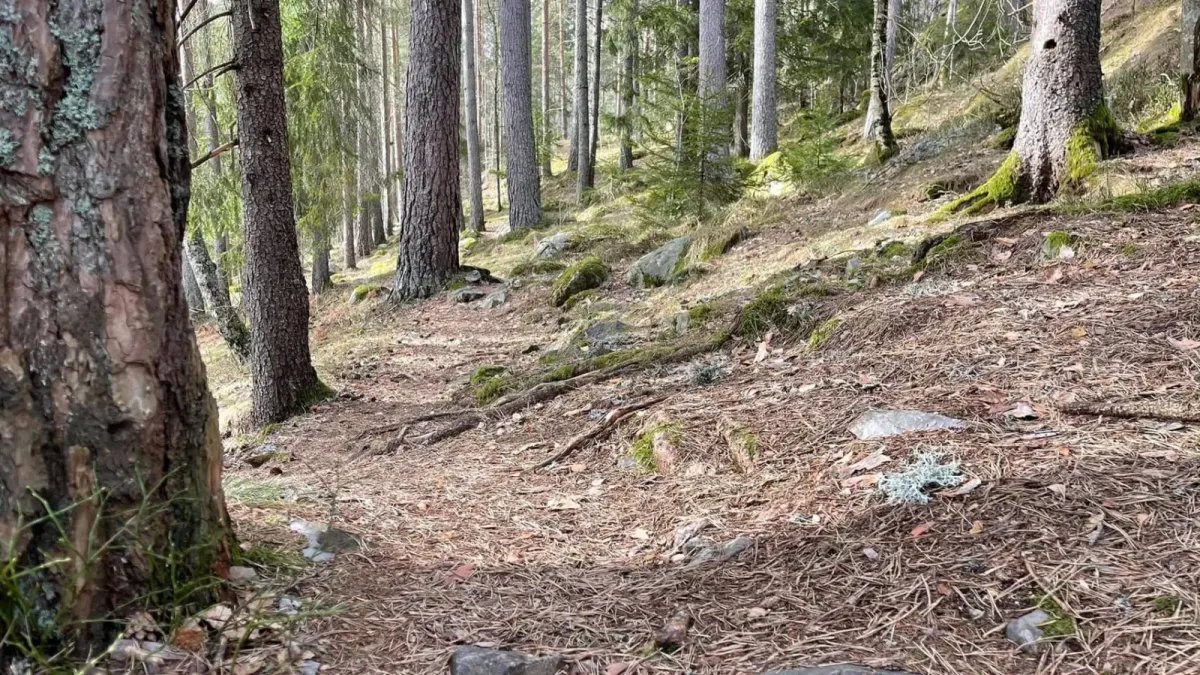 Norabergstien is almost completely free of snow and ice