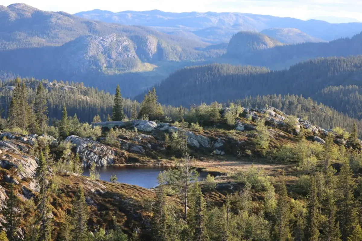 Ut i skog og fjell