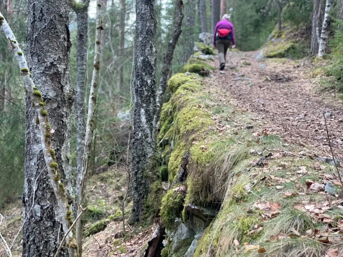 Schöne Wanderung von Prestegarden, hinauf in den Hartoll-Wald und hinüber nach Åsheimgardane