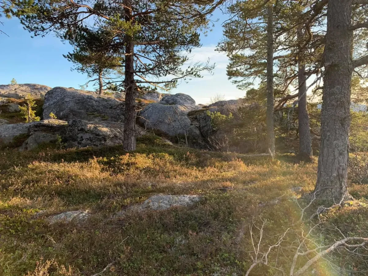 Mørkedalsnutane (874 mètres au-dessus du niveau de la mer)