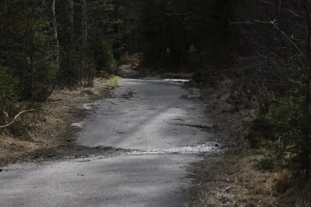 Bryggefjell (786 moh)