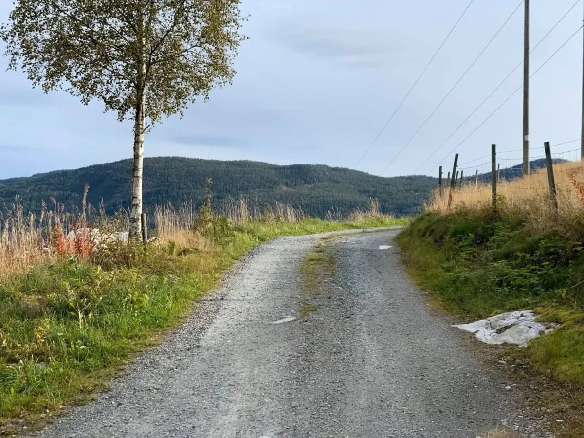 Åsheimgrendi - durch Åsheimgardane.