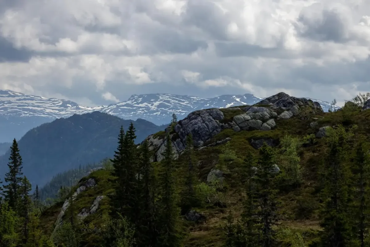 Aufsteigende Wildnis mit viel Wald und schneebedeckten Hügeln