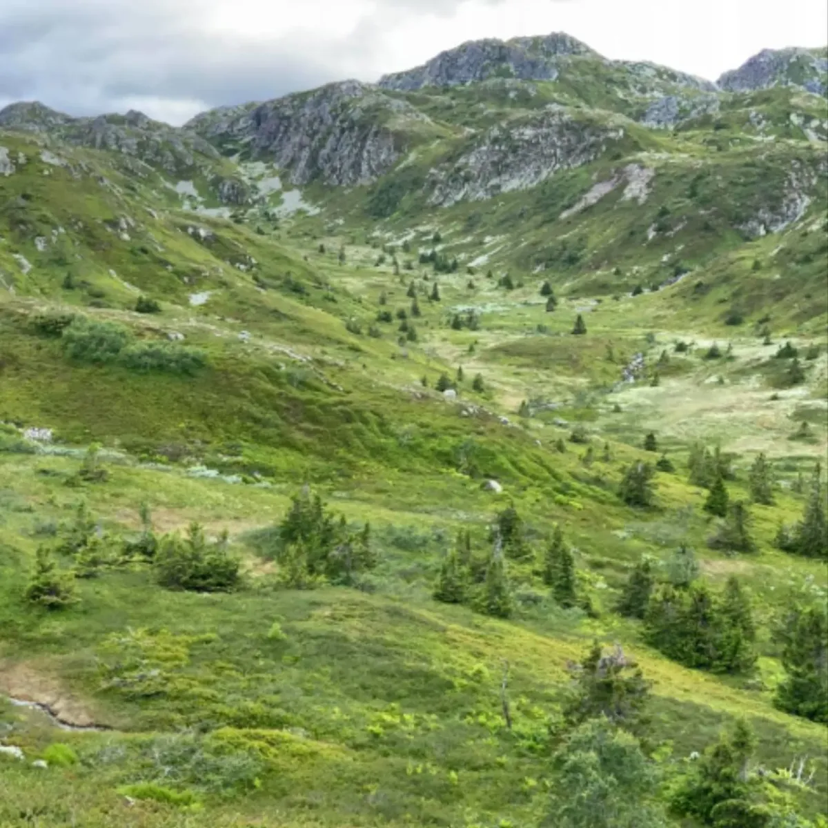 Morgen mache ich einen langen Spaziergang in Hestenutane, Nord-Skorve