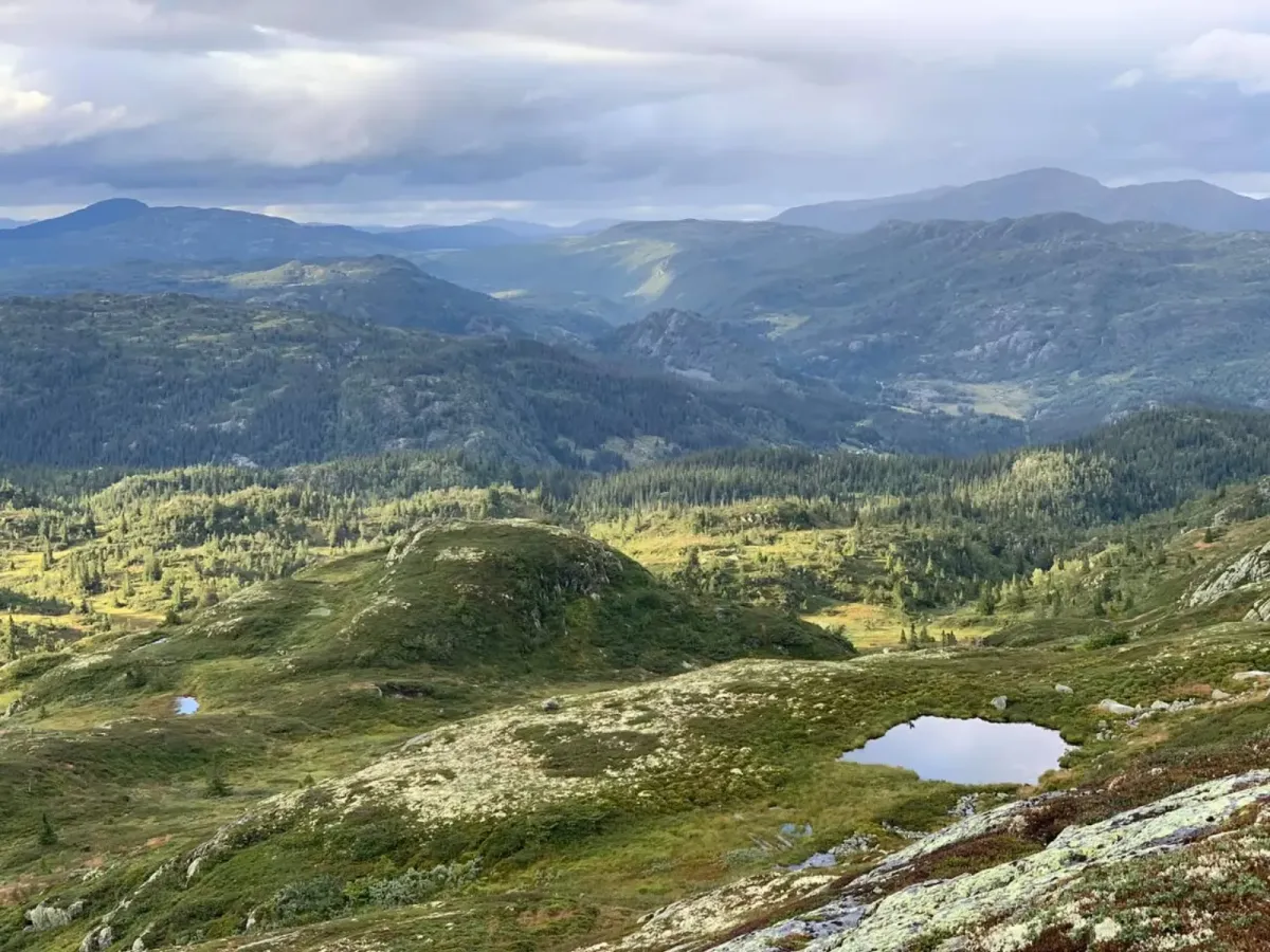Rust (Brenderustfjell) 1166 metres above sea level, Langlim