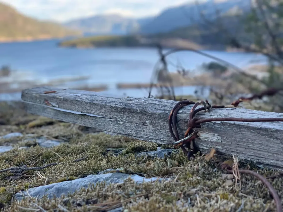 Kyrkjenuten (225 Meter über dem Meeresspiegel)