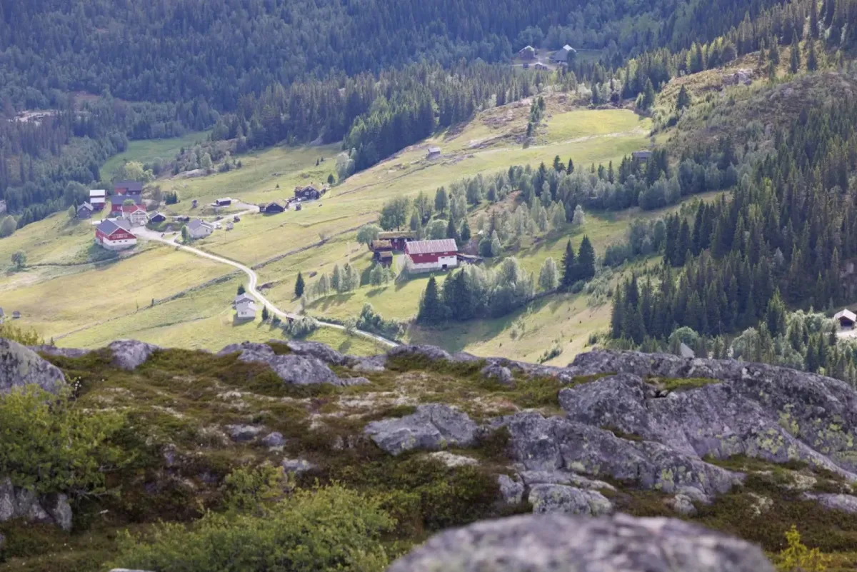 Furufjell (994 mot) in Langlim