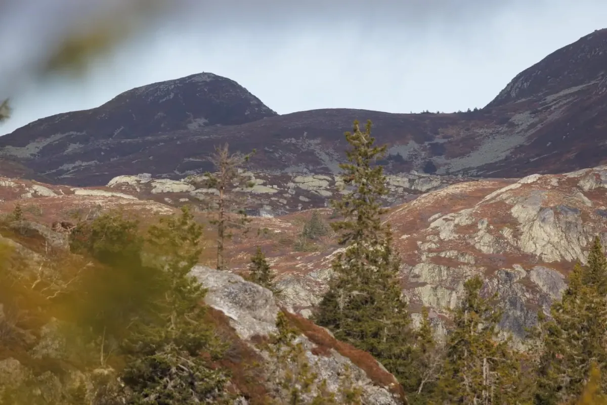 Skautjønnfjellet (972 Meter über dem Meeresspiegel)