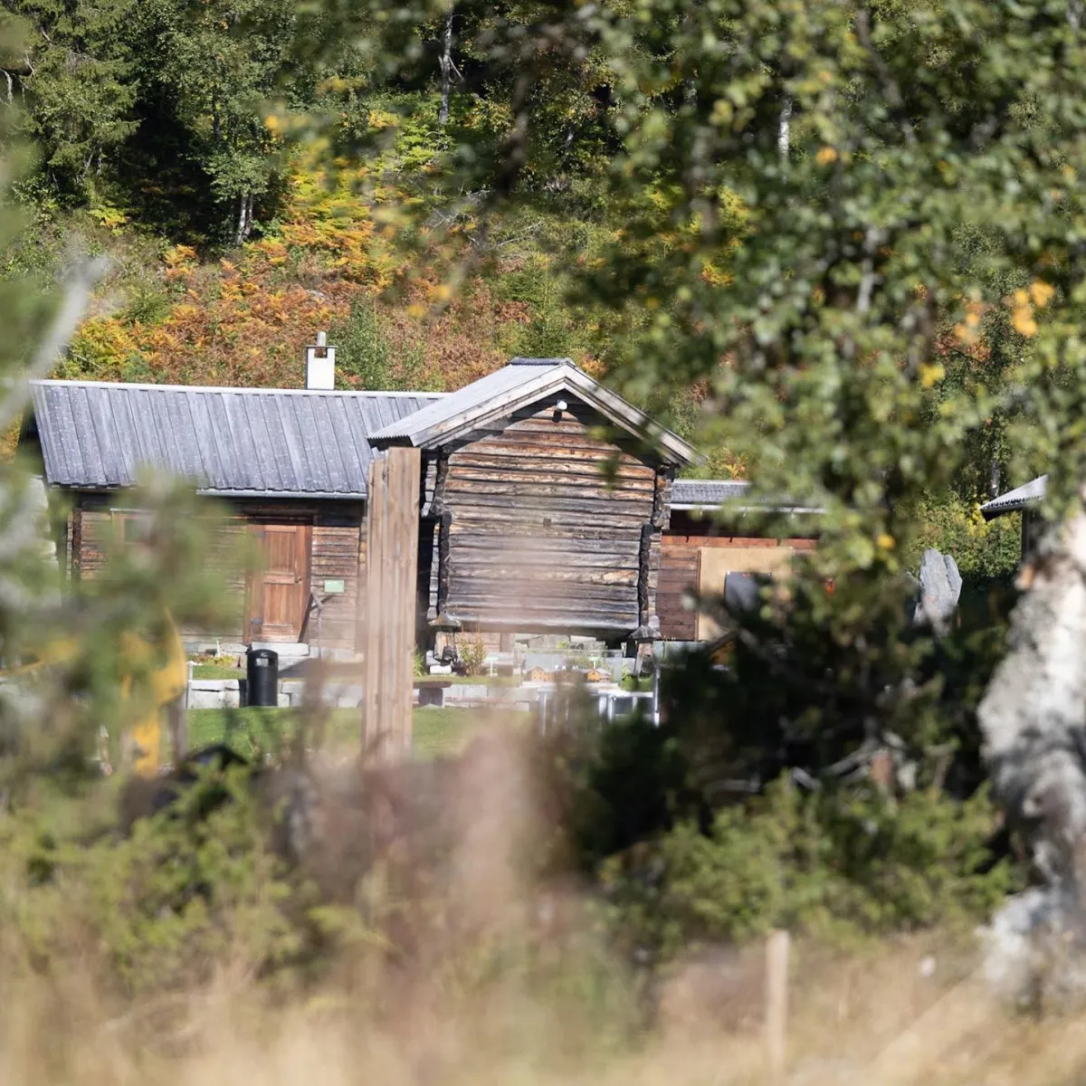Nå nærmar det seg sommar og tid for å ut å sjå. I Vest-Telemark har me mykje å sjå på. Slik, som på …