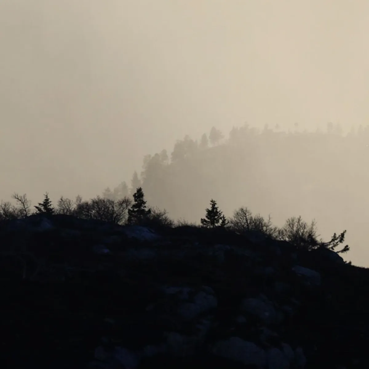 Silhouetten aus der norwegischen Wildnis. Fyresdal