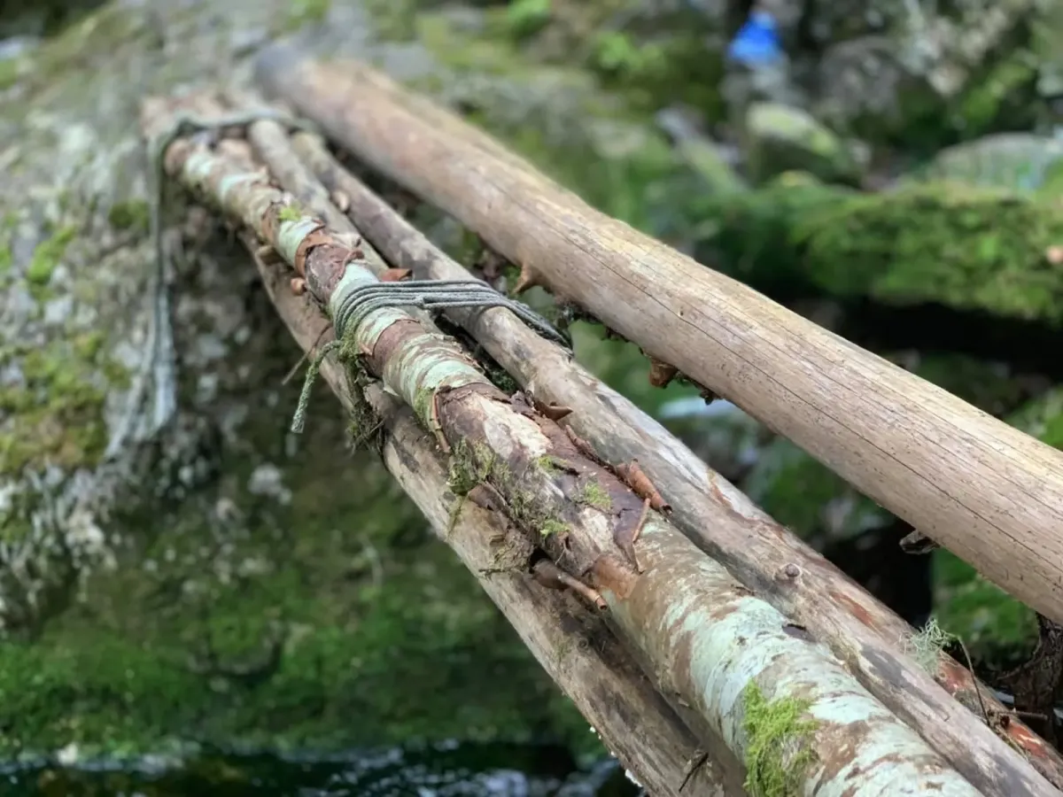 Trollwald und Seljord-Dschungel