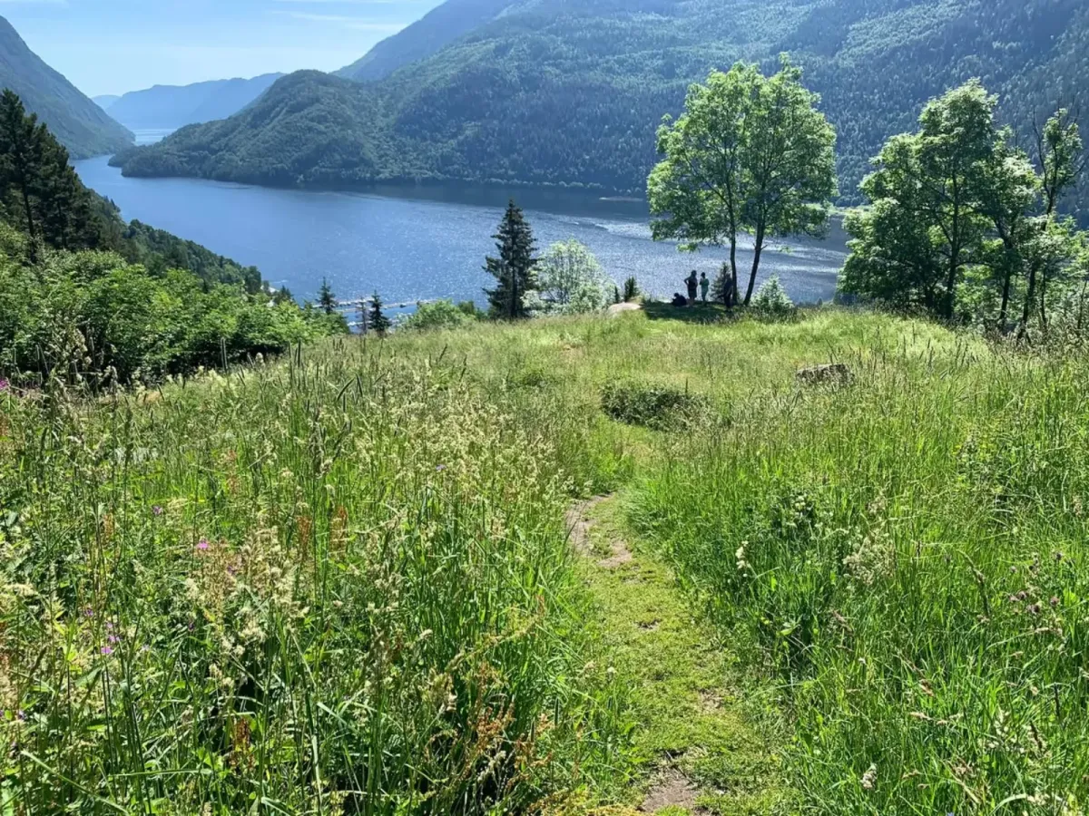 Trip from Dalen town centre to Rui